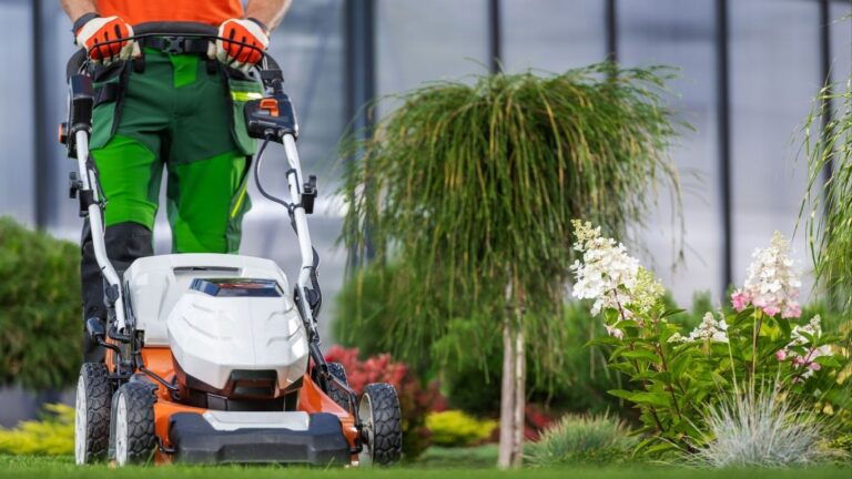 Avala star odrzavanje zelenih povrsina